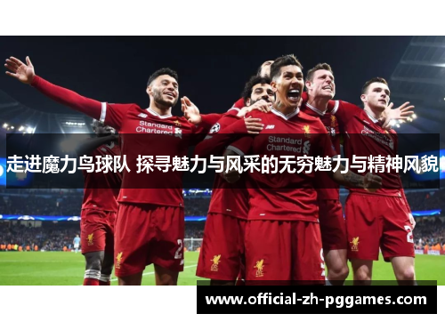 走进魔力鸟球队 探寻魅力与风采的无穷魅力与精神风貌