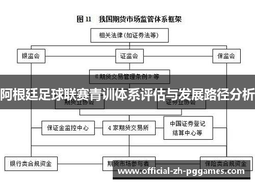 阿根廷足球联赛青训体系评估与发展路径分析 阿根廷足球联赛青训体系评估与发展路径分析