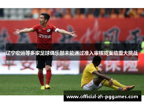 辽宁宏运等多家足球俱乐部未能通过准入审核或面临重大挑战 辽宁宏运等多家足球俱乐部未能通过准入审核或面临重大挑战